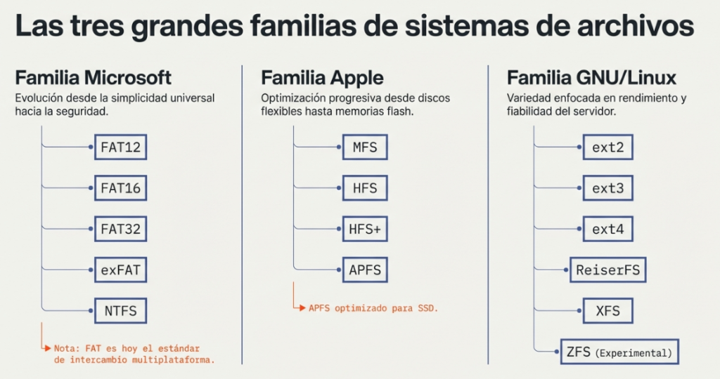 Cómo los sistemas gestionan la información de manera física y lógica en diferentes entornos informáticos.