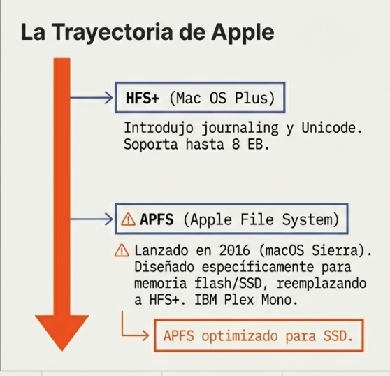 Cómo los sistemas gestionan la información de manera física y lógica en diferentes entornos informáticos.