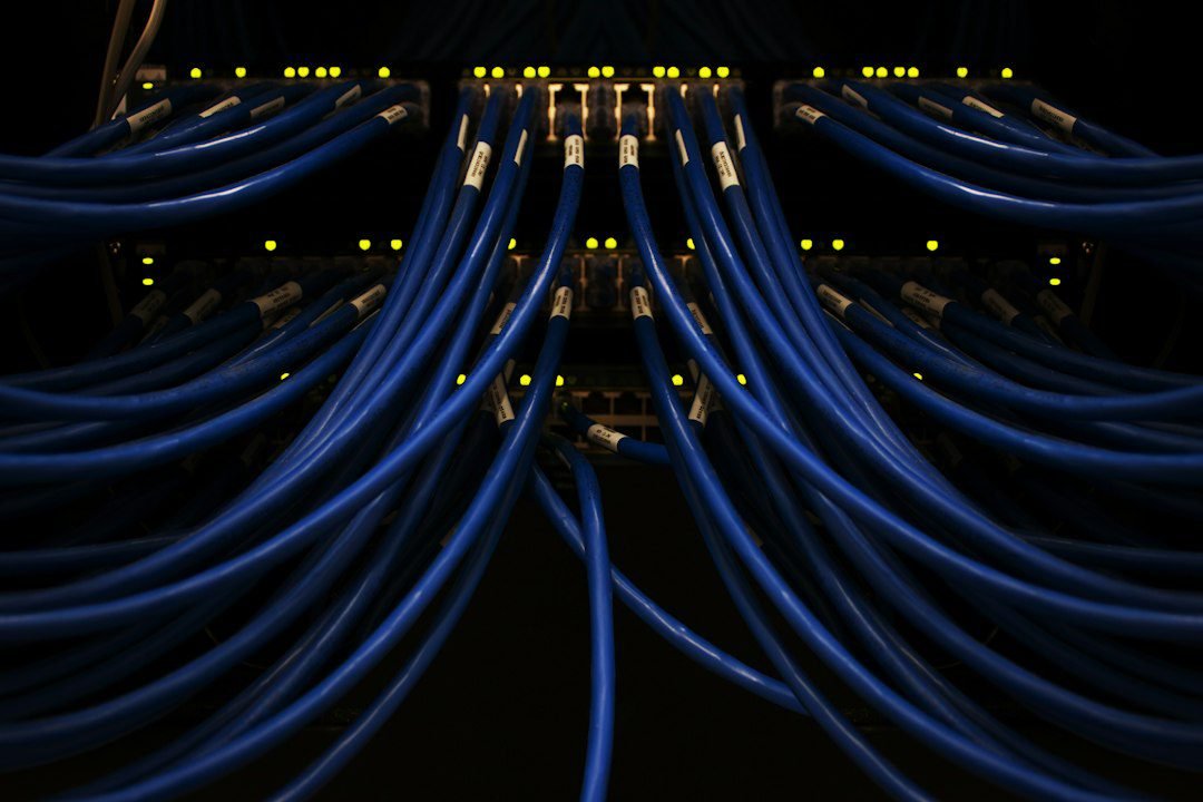 Cables Ethernet conectados a los puertos de un equipo de red, con indicadores luminosos.