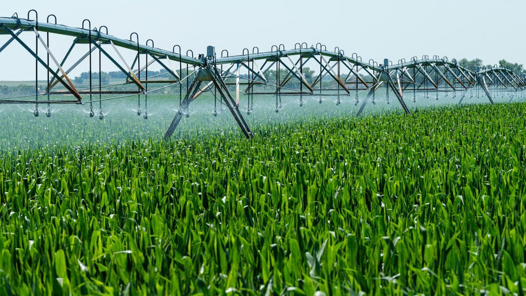 Sistema de riego por aspersión en un campo de cultivo.